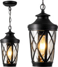 VIANIS Outdoor Hanging Lights, Black Outside Pendant Light with Adjustable Chain