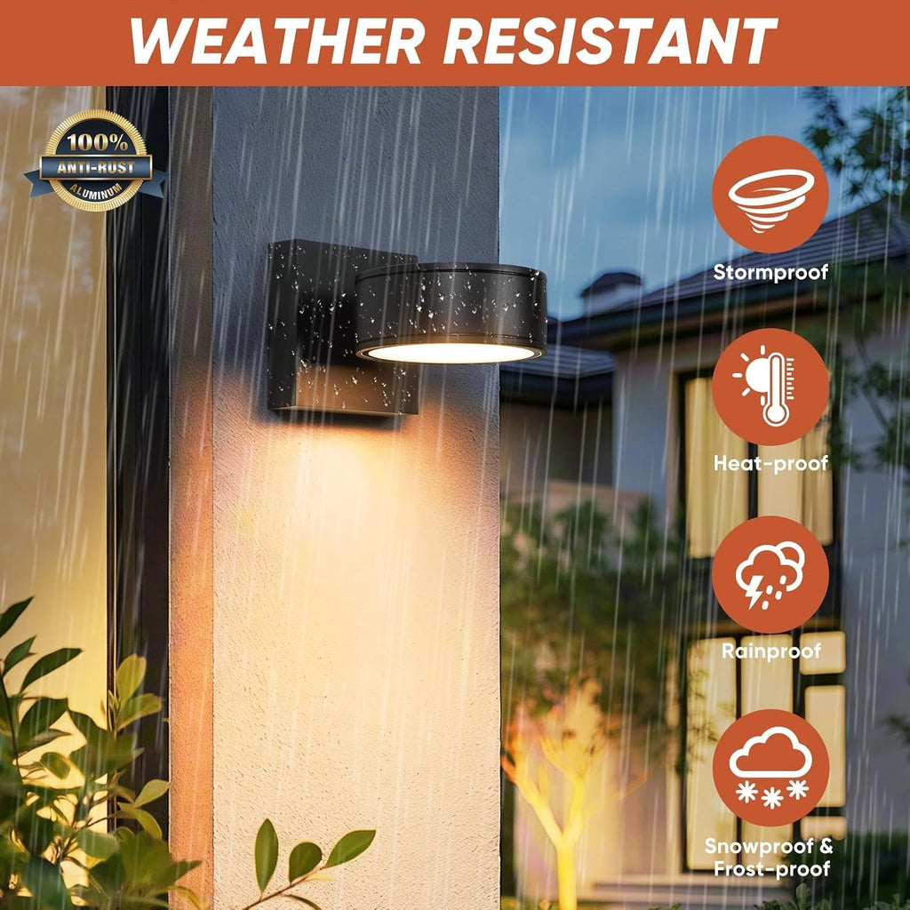 Fire Wolf Aluminum LED Outdoor Wall Light, Modern Black