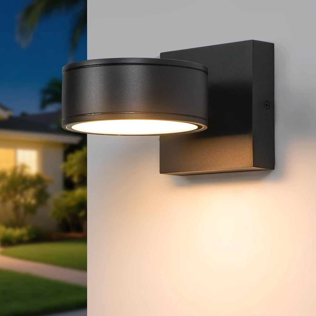 Fire Wolf Aluminum LED Outdoor Wall Light, Modern Black