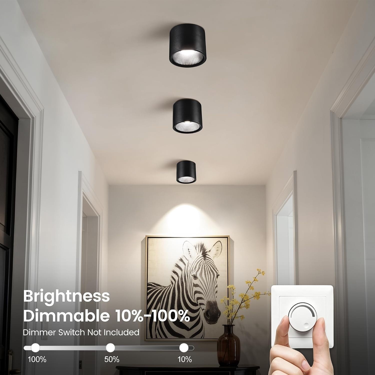 Flush Mount Ceiling Light Fixture, Dimmable LED Outdoor Ceiling Light,