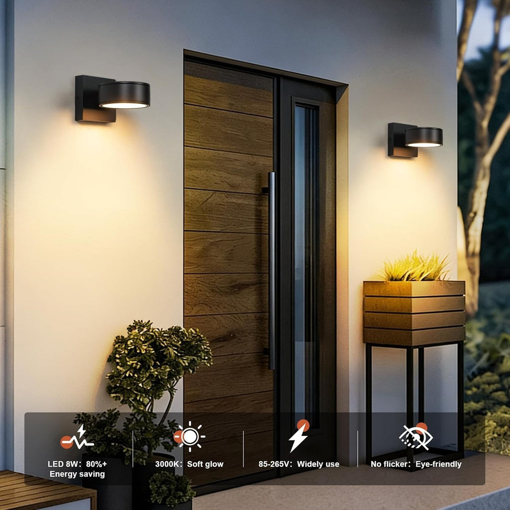 Fire Wolf Aluminum LED Outdoor Wall Light, Modern Black