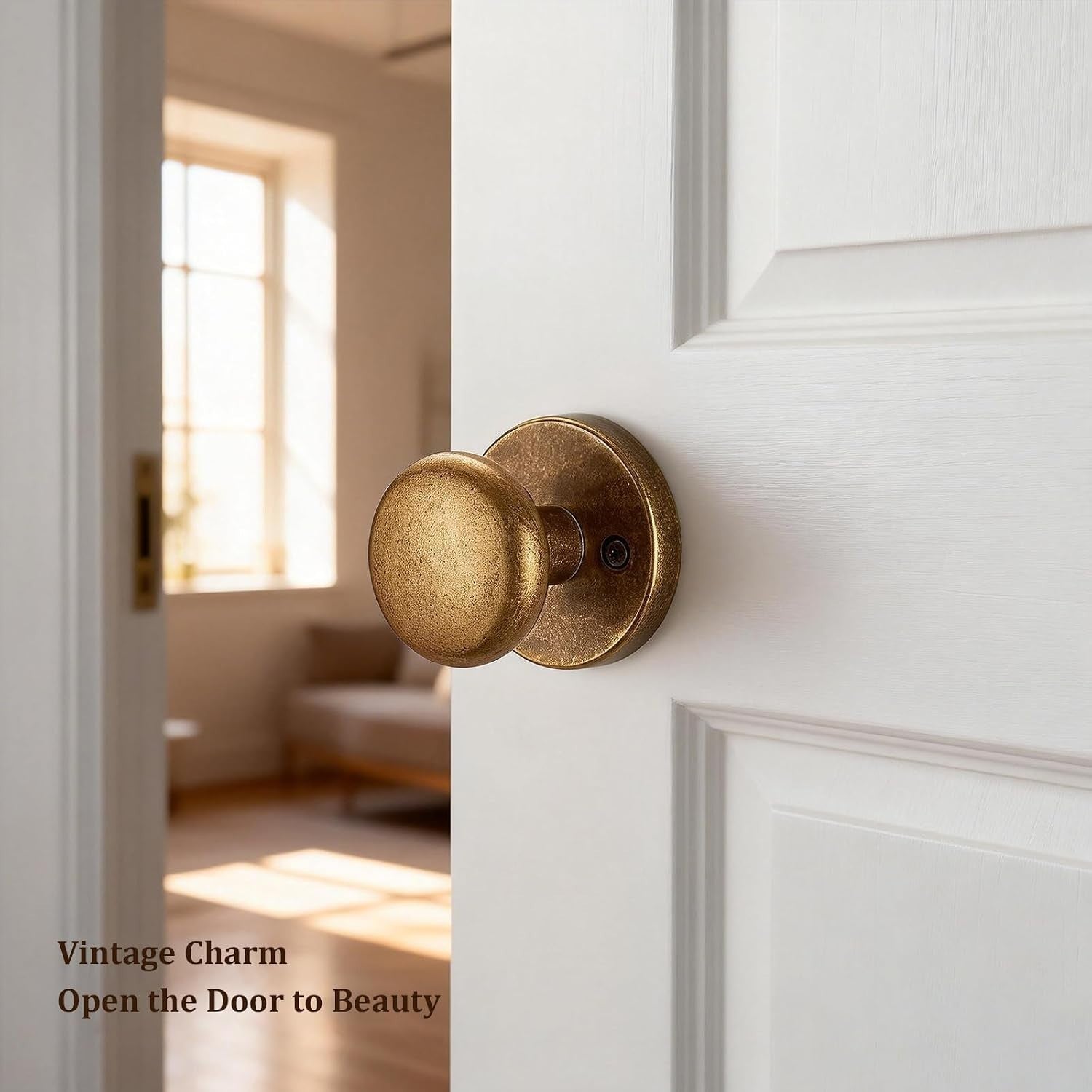 SNBTLA Antique Brass Passage Door Knob