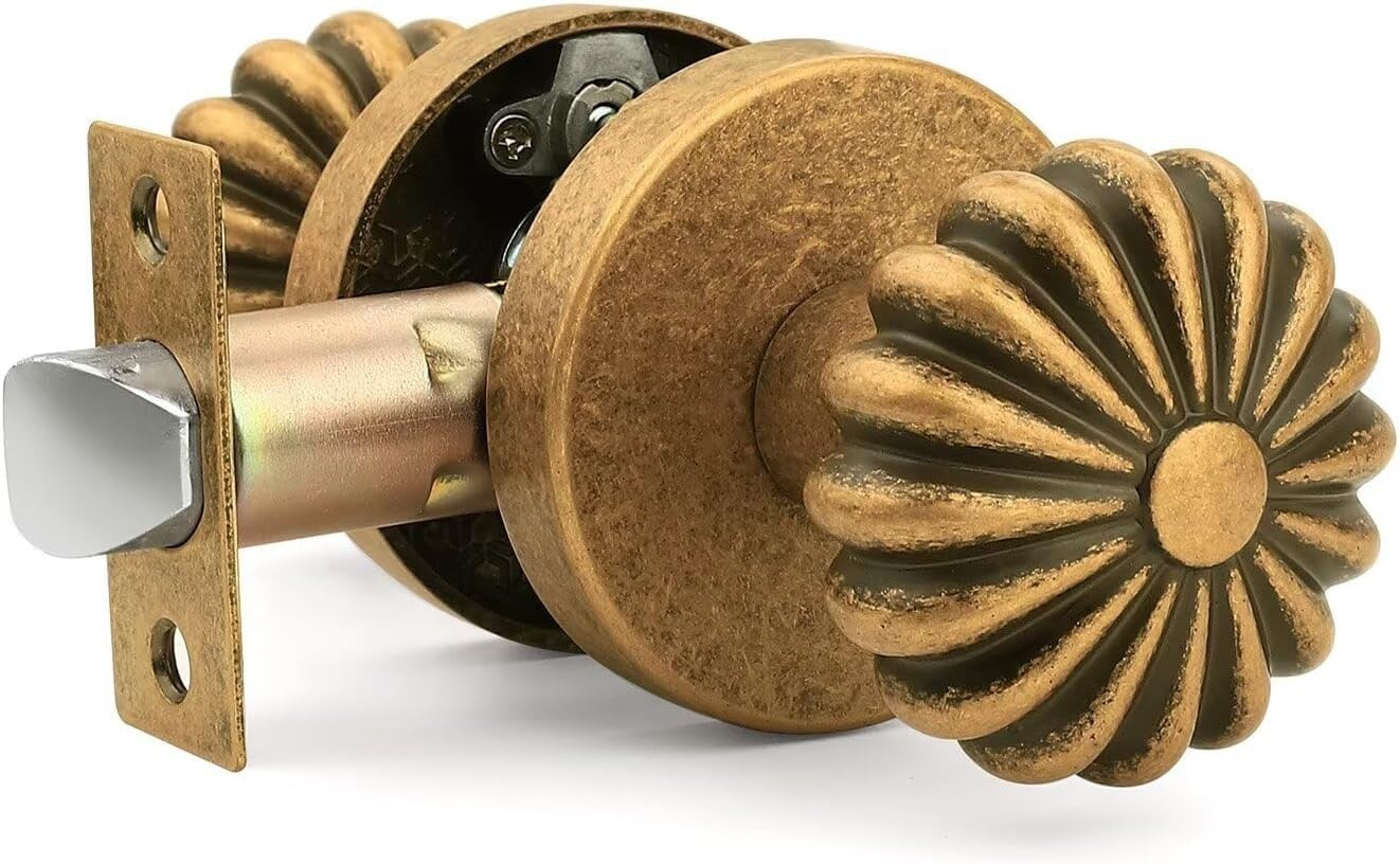 NIZADO 1 Pack Aged Brass Passage Door Knob, Interior Closet Door Knob Without Lo